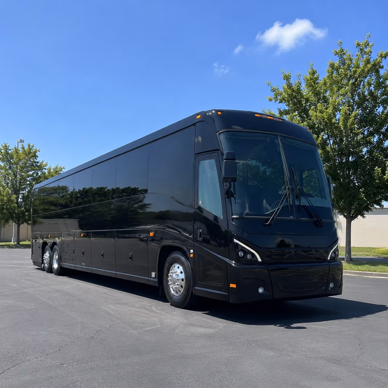 busrentalportorange com can connect your group to cruise ports at port canaveral and beyond